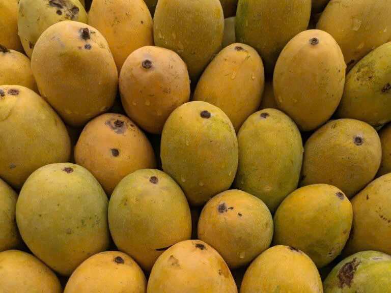 Can diabetics eat mango