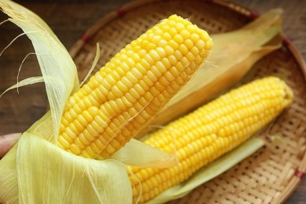 Can people with diabetes eat corn